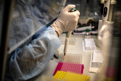 「デルタクロン株」は実験室汚染の可能性 専門家