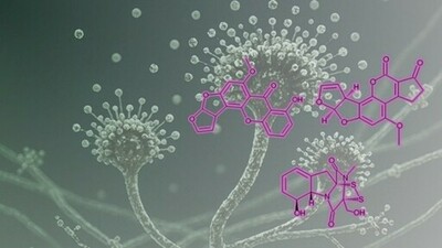 ナノイー(帯電微粒子水)技術が、人体に有害なマイコトキシン（カビ毒）※1を不活化