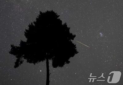 韓国でペルセウス座流星群が極大、月明かり少なく好条件