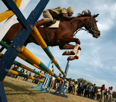 インドグジャラート州で馬術ショー、開催