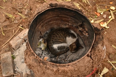 【今日の1枚】いい場所見つけた!? パキスタン