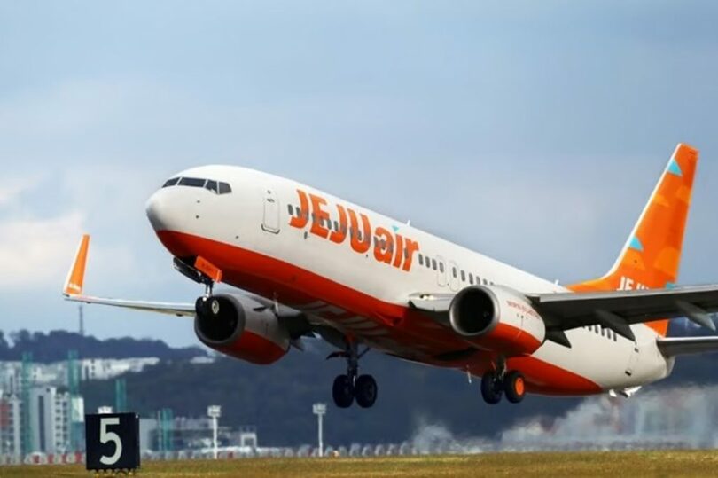 済州航空提供(c)MONEYTODAY