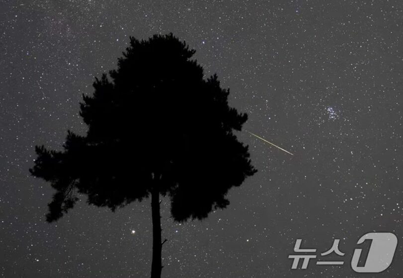 ペルセウス座流星群が極大を迎えた13日未明、忠清北道報恩郡の九屏山上空を流星が走っている＝2026年8月13日(c)news1