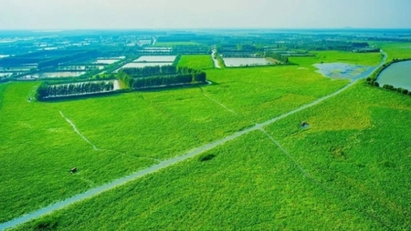 済寧が国際湿地都市に 写真1枚 国際ニュース：AFPBB News