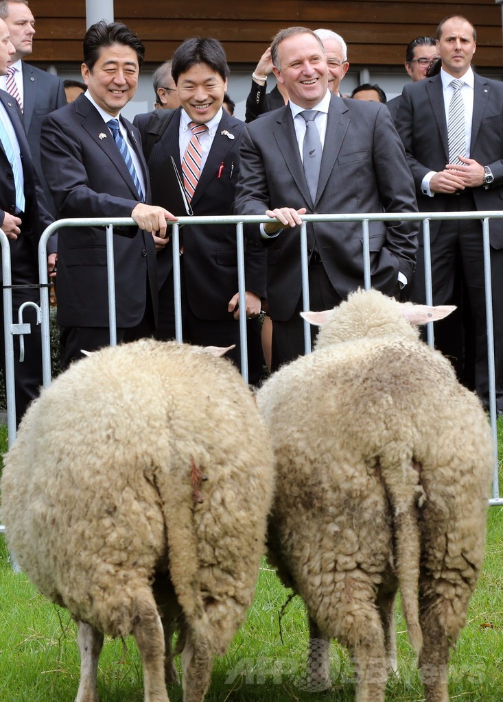 安倍首相がNZ首相と会談、捕鯨めぐり「見解の相違を確認」