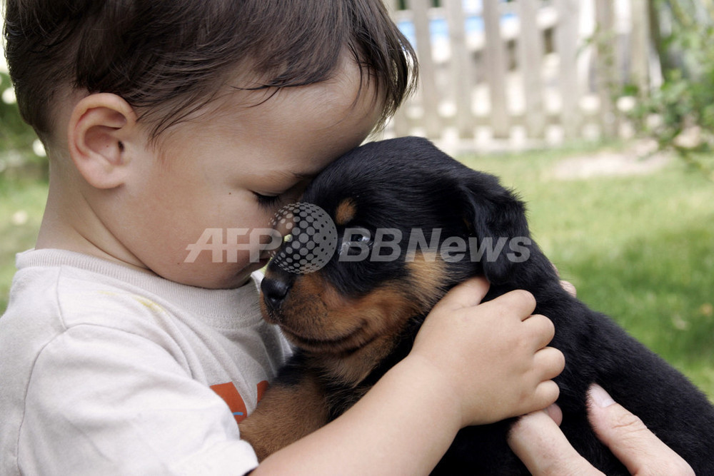 犬と一緒に育つ赤ちゃんは病気に強い 研究 写真1枚 国際ニュース Afpbb News