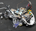 東京大学（Tokyo University）先端科学技術センター（Research Centre for Advanced Science and Technology、RCAST）の神崎研究室が製作した「昆虫脳操縦型ロボット」（2009年6月9日撮影）。(c)AFP/Yoshikazu TSUNO