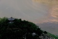 川底が露出した場所に集まってきた水鳥（2018年8月2日撮影）。