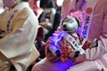東京都内の神田明神で行われた「アイボの七五三」で参加者が手にしているアイボ（2021年11月12日撮影）。(c)Kazuhiro NOGI / AFP