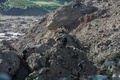 ベトナム北部ホアビン省で、4家族18人が死亡した土砂崩れの現場で捜索活動に当たる救助隊員ら（2017年10月12日撮影）。(c)AFP/VIET DUNG