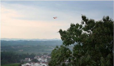 トキが舞い、パンダが暮らす泰嶺山脈 実った長年の生態系保護