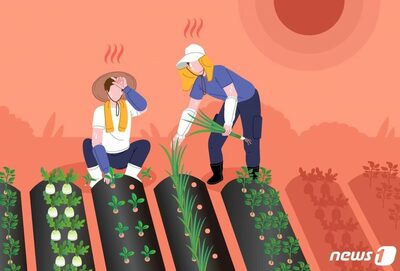 韓国・5月以降の全国の熱中症患者743人、死者7人に