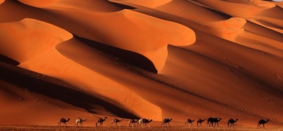 【AFP記者コラム】砂漠の魔法