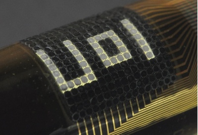 タコの擬態をヒントにした新カモフラージュ素材、米科学者ら開発