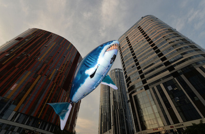 フカヒレ食べないで！「サメピアス」で撲滅キャンペーン