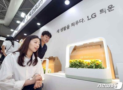 韓国「ペット植物」時代…AI活用、家庭で育てながらヒーリング