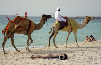ラクダも日光浴？ドバイのビーチ