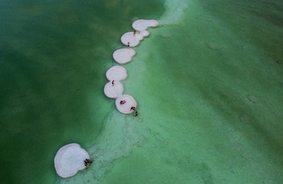 【今日の1枚】ハスの葉のよう…死海の塩の島