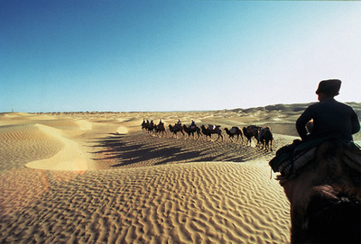 日中が協力・調査した「精絶国」 貴重な「国宝」も発見