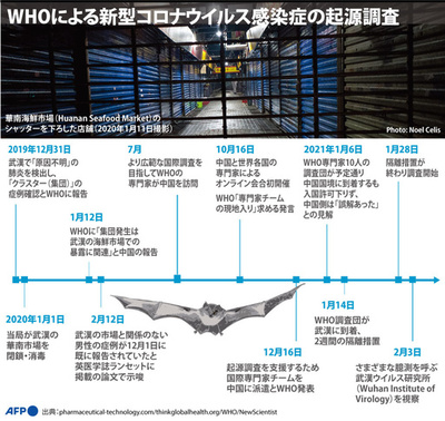 【図解】世界保健機関による新型コロナウイルス感染症の起源調査