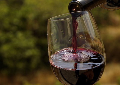 赤ワイン摂取で腸内細菌叢の多様性が増大 英研究