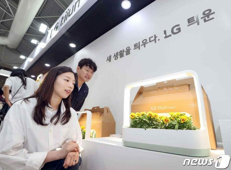 LGツインミニで育っている花を鑑賞するモデル＝LG電子提供(c)news1