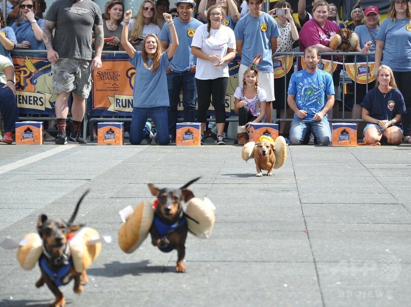 ホットドッグが走る走る、米国でもオクトーバーフェスト