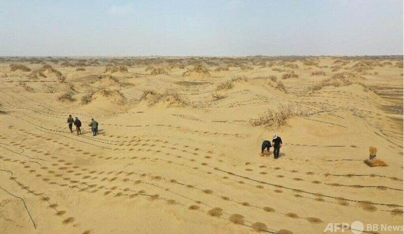 砂漠化防止の新たな一章を書き続ける 写真3枚 国際ニュース：AFPBB News