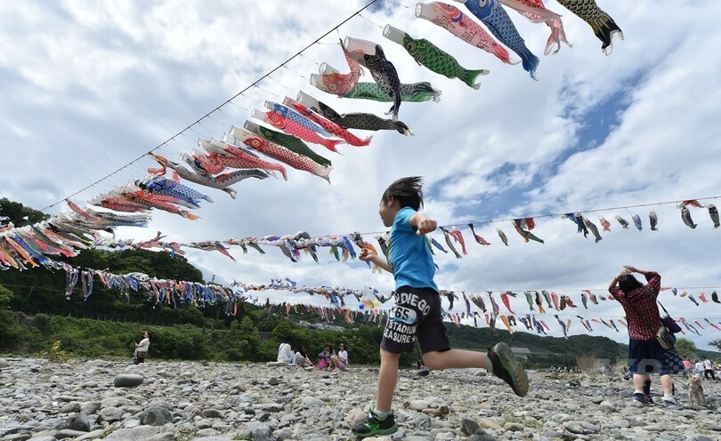 こどもの日 相模川に10匹のこいのぼり 神奈川 写真6枚 国際ニュース Afpbb News