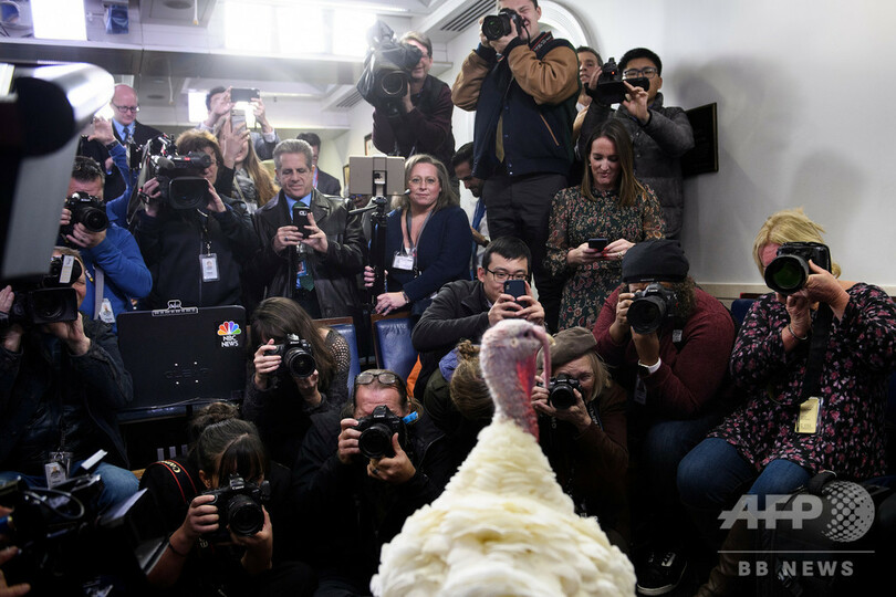【記者コラム】汗に強いシャツとトランプ流ホワイトハウス