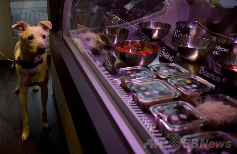 ドイツ・ベルリンに「犬専用デリ」オープン