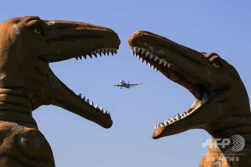 【今日の1枚】危機一髪! 恐竜の牙がすぐそこに