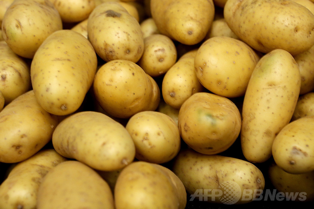 米男性のポテトサラダ作り計画、資金調達サイトで90万円集める 米男性のポテトサラダ作り計画、資金調達サイトで90万円集める
