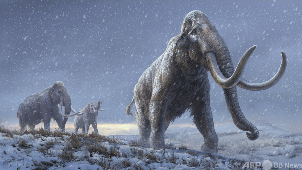 100万年前のマンモスのDNA解読 世界最古 シベリアで出土
