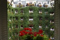 パリ（Paris）・モンテーニュ通り（Avenue Montaigne）にある老舗ホテル「プラザ・アテネ（Plaza Athenee）」の中庭に面するバルコニーで記念撮影をする従業員ら（2013年10月1日撮影）。(c)AFP/FRED DUFOUR