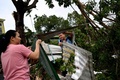 ベトナム中部クアンガイ省で、台風18号通過後にがれきを撤去する人々（2020年10月28日撮影）。(c)MANAN VATSYAYANA / AFP