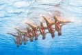 スペイン・バルセロナ（Barcelona）で開催されている第15回世界水泳選手権（15th FINA World Championships）。水中カメラで撮影されたシンクロナイズドスイミング・チームの演技の様子。

チームフリールーティン（FR）予選で演技するシンガポールの選手（2013年7月23日撮影）。(c)AFP/FRANCOIS XAVIER MARIT