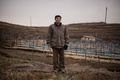 南北軍事境界線に沿って設けられている非武装地帯（DMZ）の近くに位置する開城市郊外の畑で撮影された、朝鮮人参を栽培する農業従事者。(c)AFP/Ed Jones 