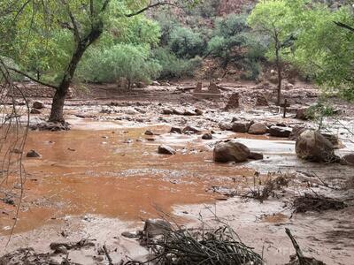 米グランドキャニオンで鉄砲水 62人避難も15人の安否不明
