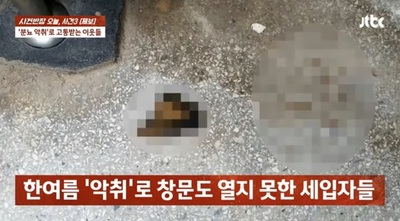 「猫は家族」集合住宅に30匹以上…韓国・限界超えた悪臭・騒音、「妻が流産」と隣人退去