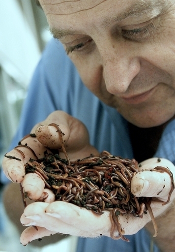最新型のコンポスト・トイレで、人もミミズも幸せに