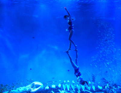 【写真特集】「水を得た魚」のよう、華麗な水中舞踊