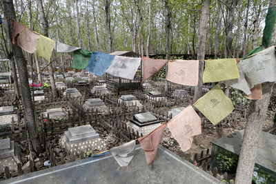 「うちの子」が眠るペット墓地 北京で人気、3万円から