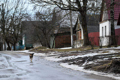 ロシア軍、ウクライナ破壊工作グループの越境阻止 国境州知事