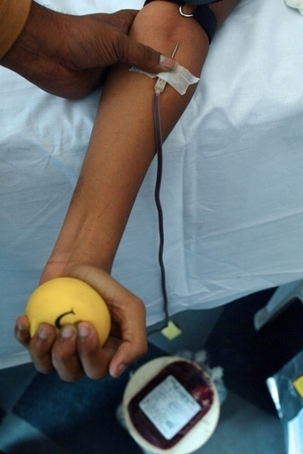 白血病などの新薬開発に貢献か、白血球のタンパク質受容体を画像化 豪研究者