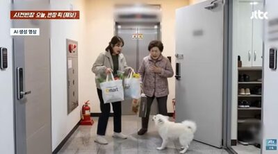 「チワワだから安全」とドア全開の隣人…韓国・マンション共有スペースでのペット放置トラブルに批判殺到