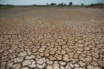 地球温暖化拡大で「酸欠」の危機も、英研究