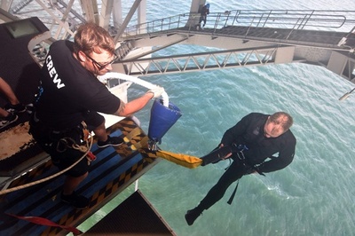 24時間でバンジージャンプ941回 NZ人男性、世界記録更新