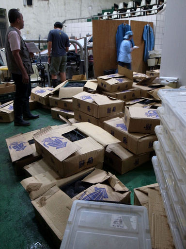 希少種のカメ、食べられる直前に保護 台湾