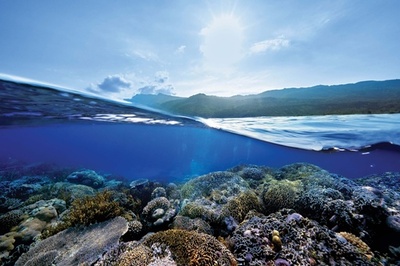 「ドゥ･ラ･メール」美しい海を守る「ブルー ハート」活動、限定アイテムも